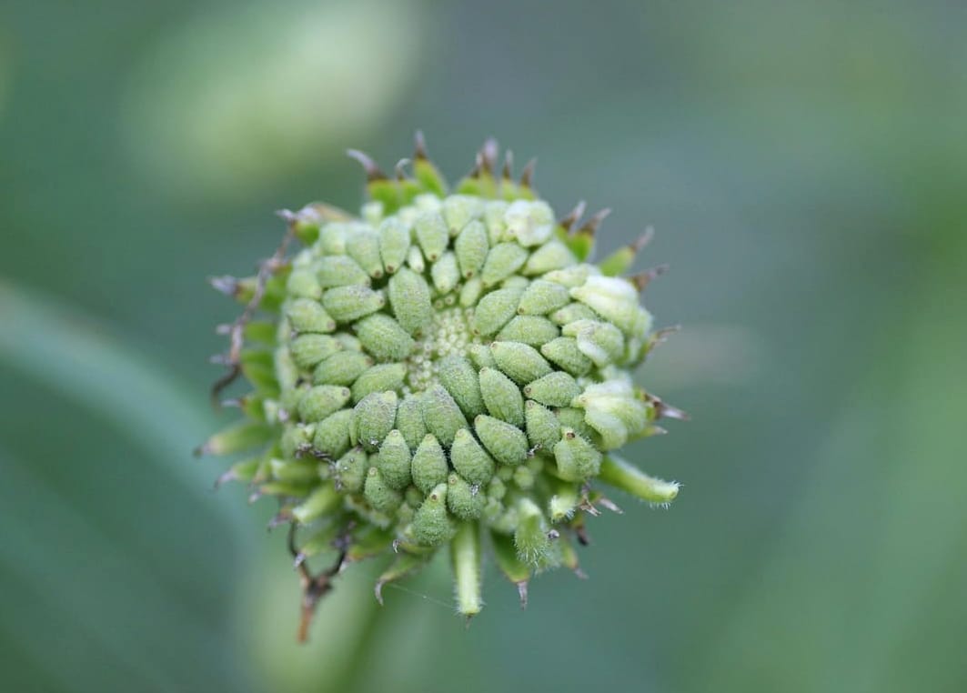 The Ugly Truth Behind Clean Beauty Claims and Marketing Hype